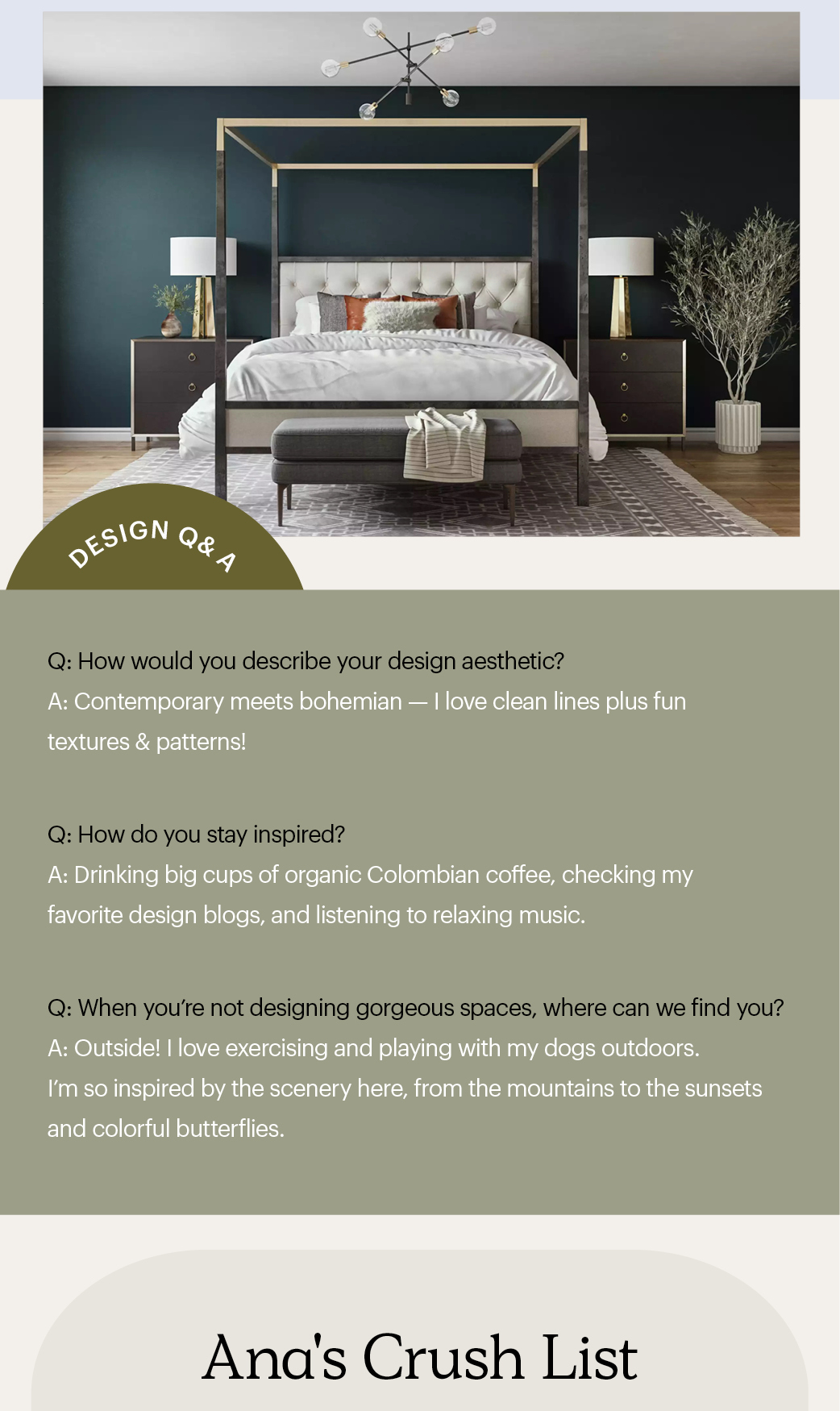 Designer Spotlight Ana Havenly